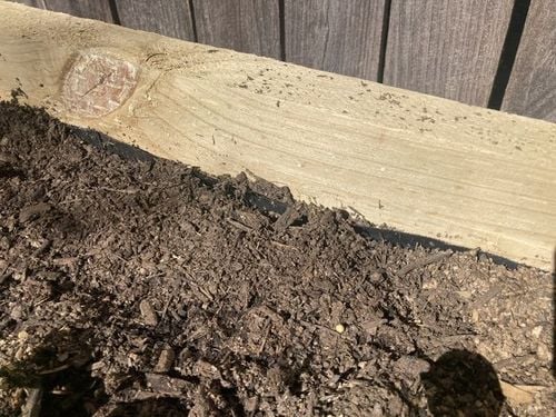 IMG_3803.jpeg IMG_3803.jpeg