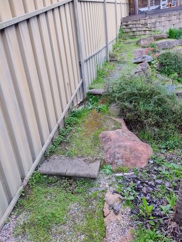 1000036756.jpg 1000036756.jpg