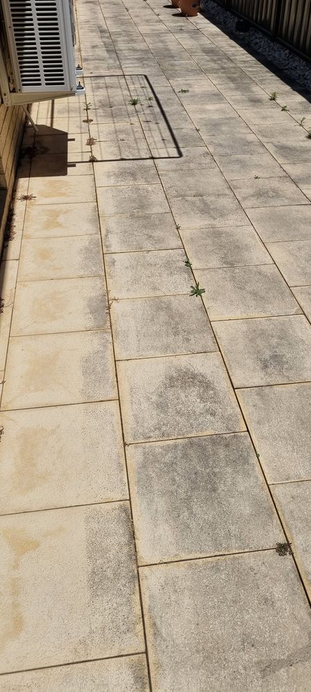 20241116_125205.jpg 20241116_125205.jpg