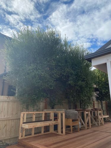 IMG_8154.jpeg IMG_8154.jpeg