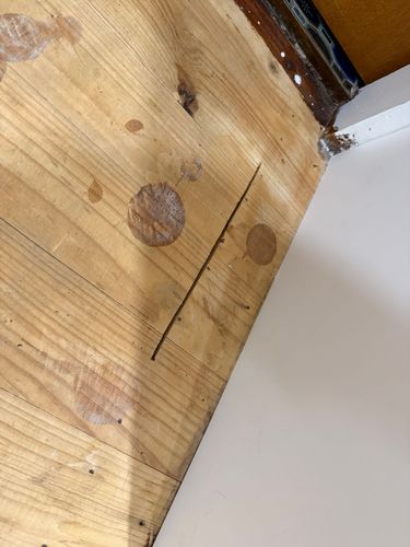 IMG_9372.jpeg IMG_9372.jpeg