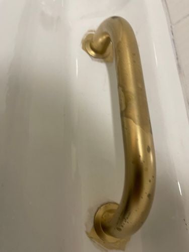 IMG_7841.jpeg IMG_7841.jpeg