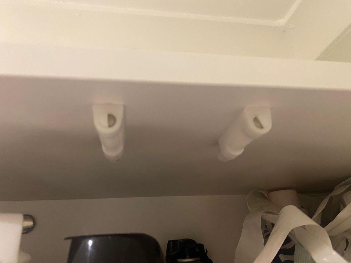 IMG_6809.jpeg IMG_6809.jpeg