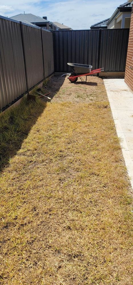 Backyard dead lawn.jpg Backyard dead lawn.jpg
