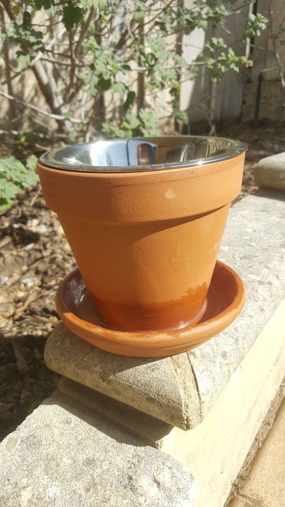 20190216_091602.jpg 20190216_091602.jpg