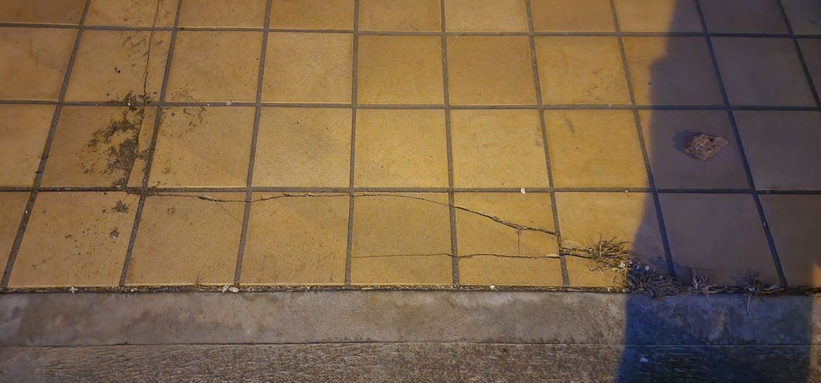 20250306_202144.jpg 20250306_202144.jpg