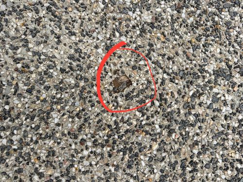 IMG_9976.jpeg IMG_9976.jpeg