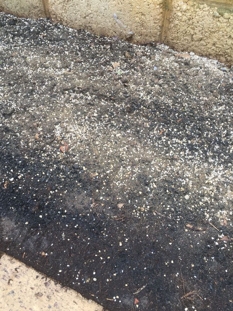 448C2DF9-AB3A-4F67-AB3B-AAC9C331A088.jpeg 448C2DF9-AB3A-4F67-AB3B-AAC9C331A088.jpeg