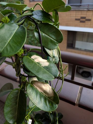 1000018296.jpg 1000018296.jpg