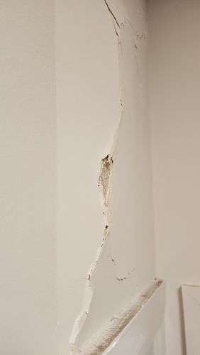 1000042392.jpg 1000042392.jpg