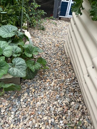 IMG_7147.jpeg IMG_7147.jpeg