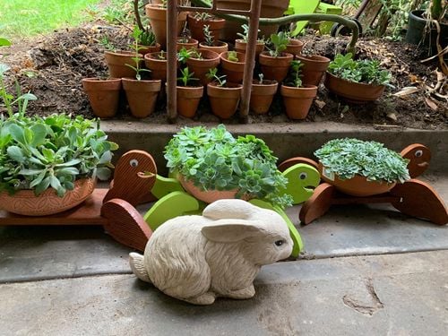 A0532994-E94A-455F-BDCD-0A157968E66C.jpeg A0532994-E94A-455F-BDCD-0A157968E66C.jpeg