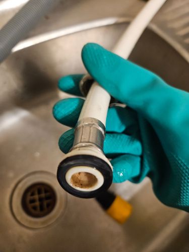 1000008288.jpg 1000008288.jpg