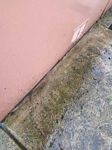 IMG_9450.jpeg IMG_9450.jpeg