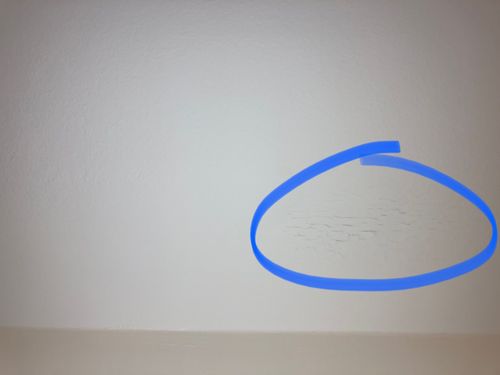 IMG_7753.jpeg IMG_7753.jpeg