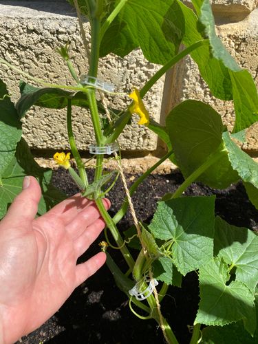 IMG_9830.jpeg IMG_9830.jpeg