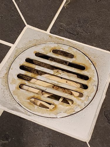 1000039723.jpg 1000039723.jpg