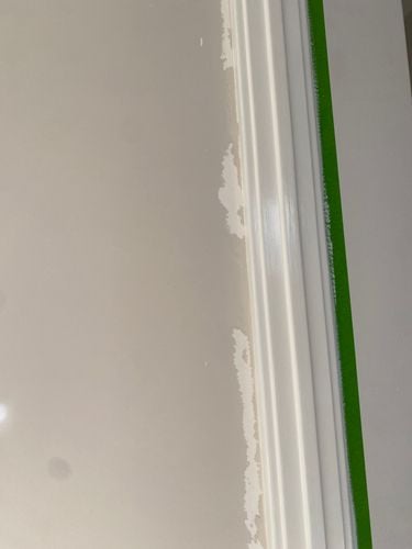 IMG_0695.jpeg IMG_0695.jpeg