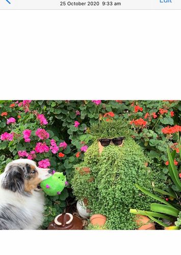 1B477170-B312-41A5-9E21-5B84466E12CA.jpeg 1B477170-B312-41A5-9E21-5B84466E12CA.jpeg