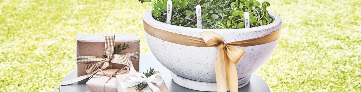 Hero Image Test Blog - 2022-12-05T102604.085.png Hero Image Test Blog - 2022-12-05T102604.085.png