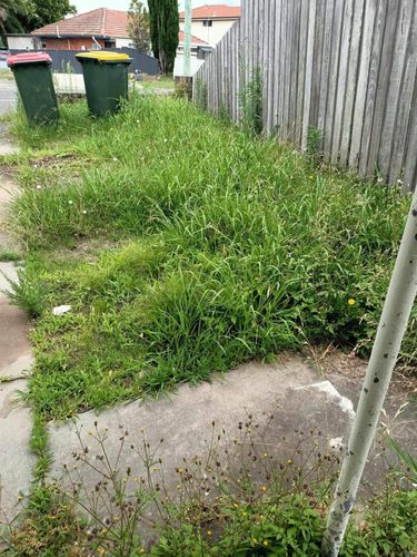 IMG_0091.jpeg IMG_0091.jpeg