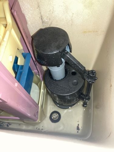 IMG_9815.jpeg IMG_9815.jpeg