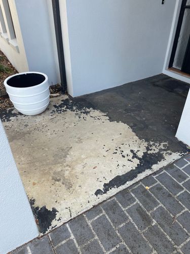 IMG_7775.jpeg IMG_7775.jpeg