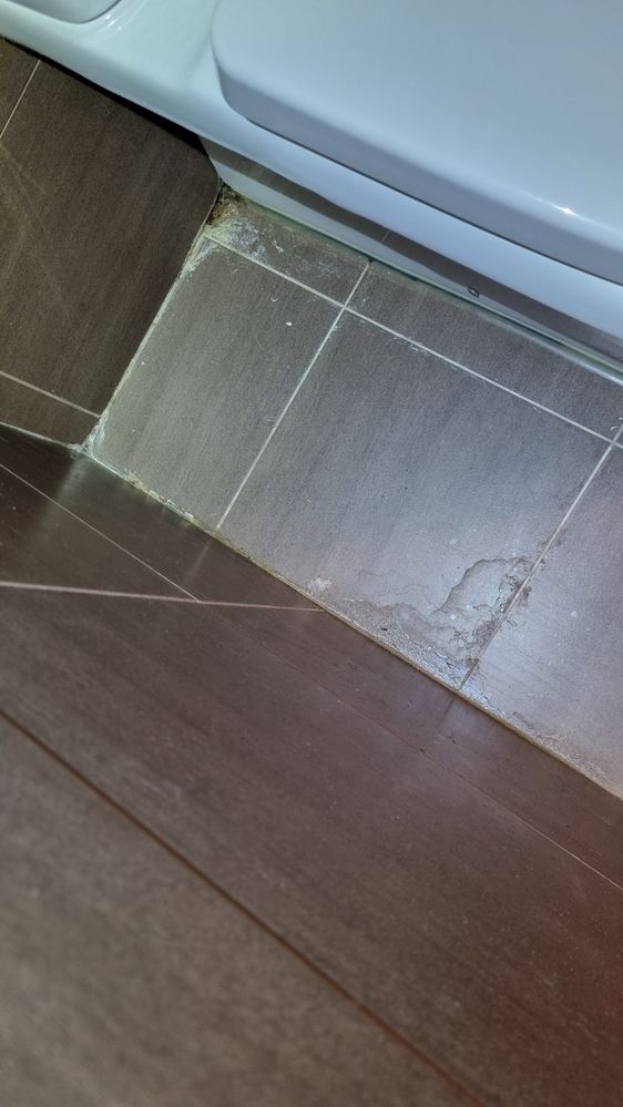 20250912_182240.jpg 20250912_182240.jpg