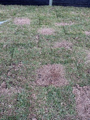 IMG_5045.jpeg IMG_5045.jpeg