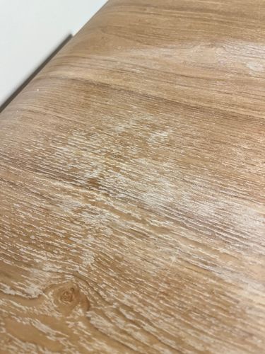 IMG_9718.jpeg IMG_9718.jpeg