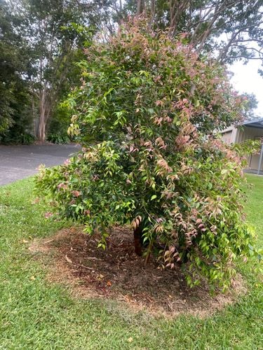 IMG_6136.jpeg IMG_6136.jpeg