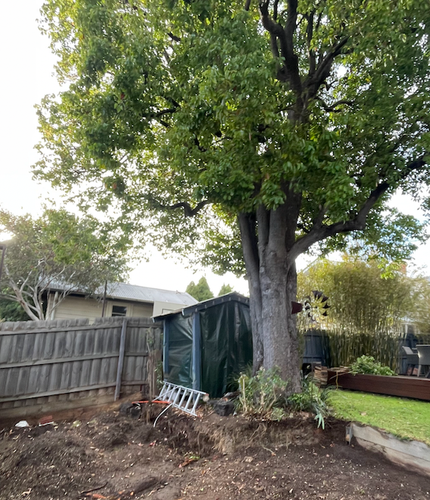 Screen Shot 2023-11-08 at 5.24.47 pm.png Screen Shot 2023-11-08 at 5.24.47 pm.png