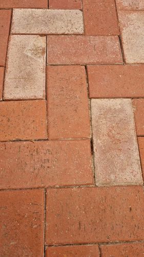 1000028144.jpg 1000028144.jpg