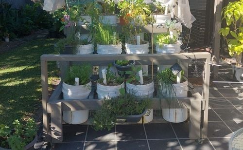 No digging or bending vegetable garden stand (2).jpg No digging or bending vegetable garden stand (2).jpg