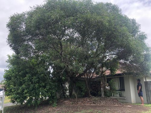 96D66F64-14CC-48AE-9331-A4675DF24FCD.jpeg 96D66F64-14CC-48AE-9331-A4675DF24FCD.jpeg