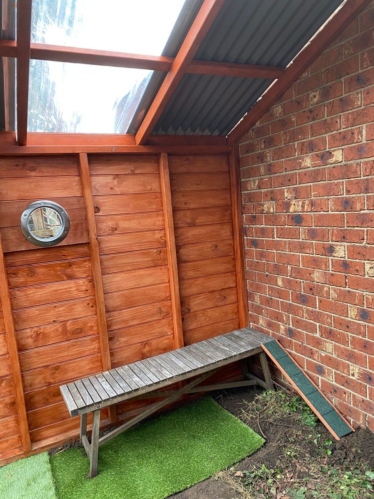 IMG_0249.jpg IMG_0249.jpg