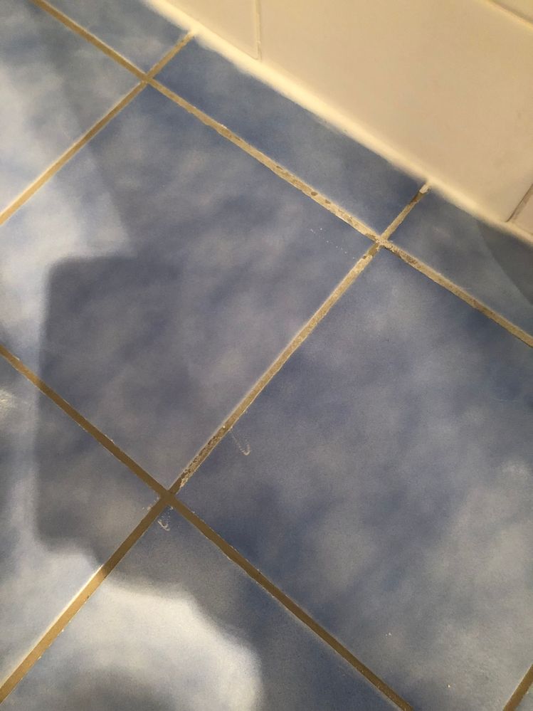 IMG_1179.jpg IMG_1179.jpg