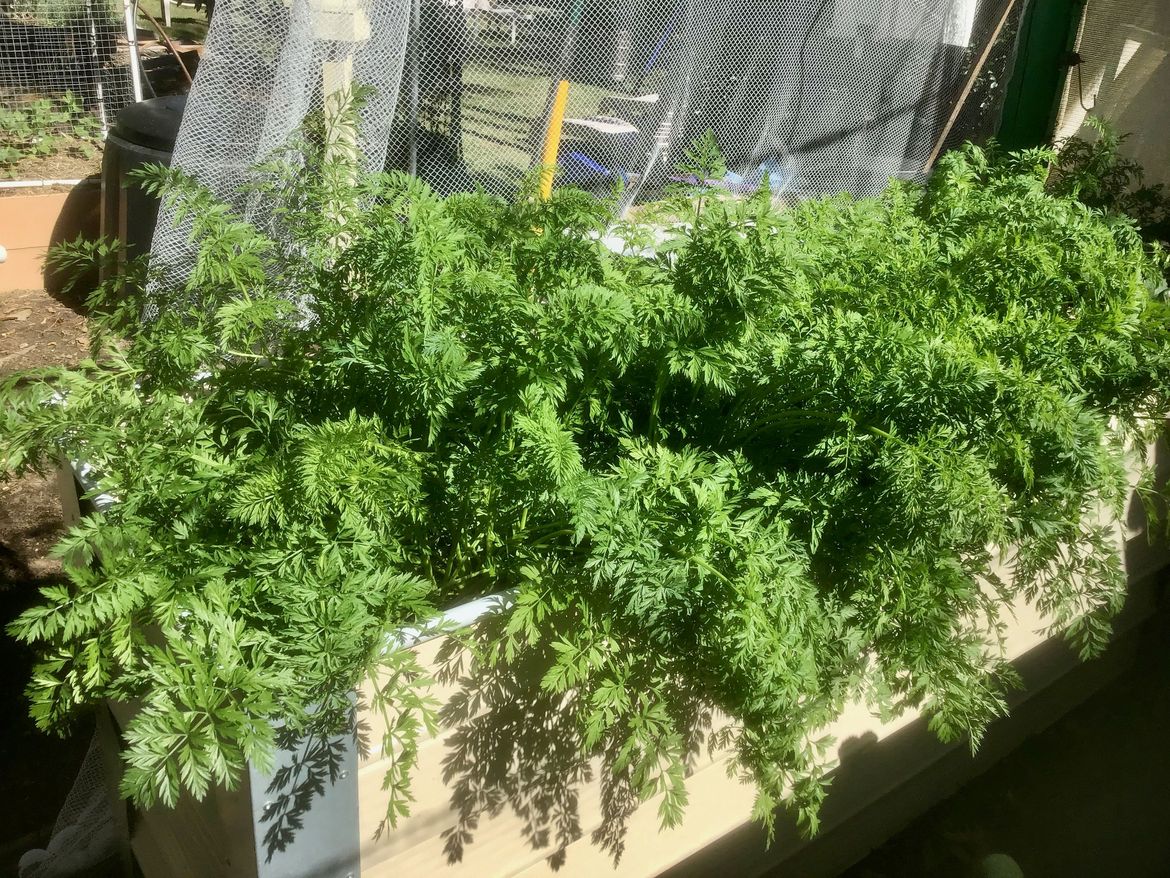 IMG_0250.jpeg IMG_0250.jpeg