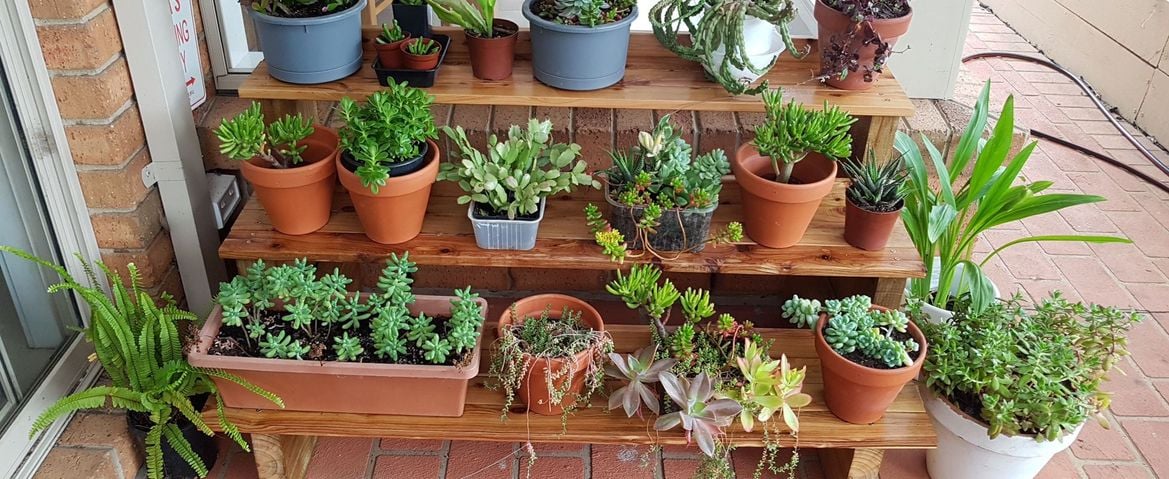 Tiered stand by Jl.jpg Tiered stand by Jl.jpg