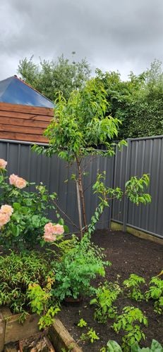 20221116_120208.jpg 20221116_120208.jpg