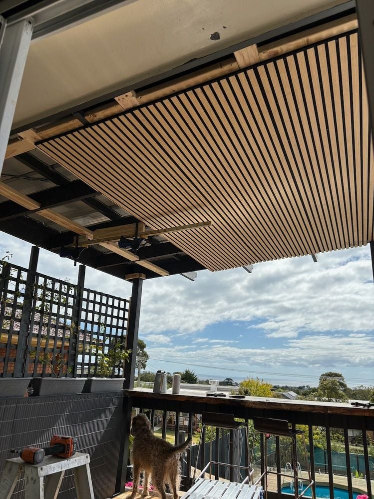 IMG_6571.jpeg IMG_6571.jpeg