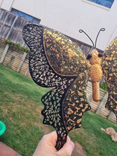 1000075241.jpg 1000075241.jpg