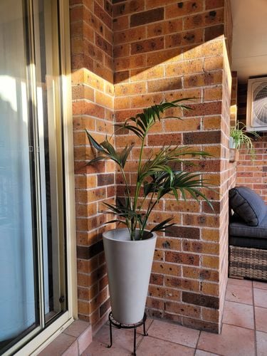 20230126_073022.jpg 20230126_073022.jpg