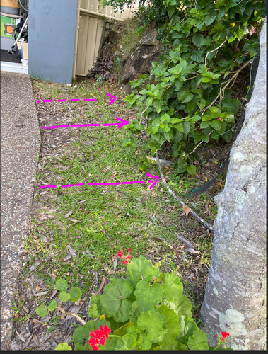 Sugar_1-1738187596725.png Sugar_1-1738187596725.png