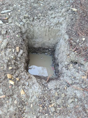 20231111_172203.jpg 20231111_172203.jpg