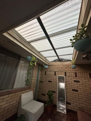 IMG_2067.jpeg IMG_2067.jpeg