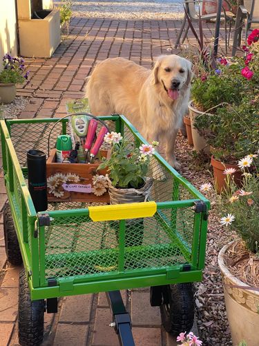 14F58DA0-2C92-4316-91AB-8113CA2E65D3.jpeg 14F58DA0-2C92-4316-91AB-8113CA2E65D3.jpeg