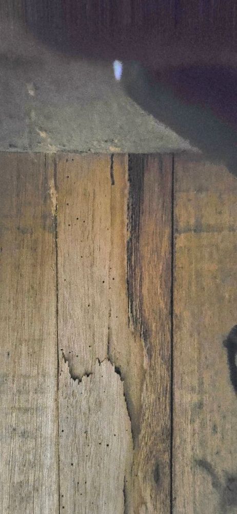 20250517_134908.jpg 20250517_134908.jpg