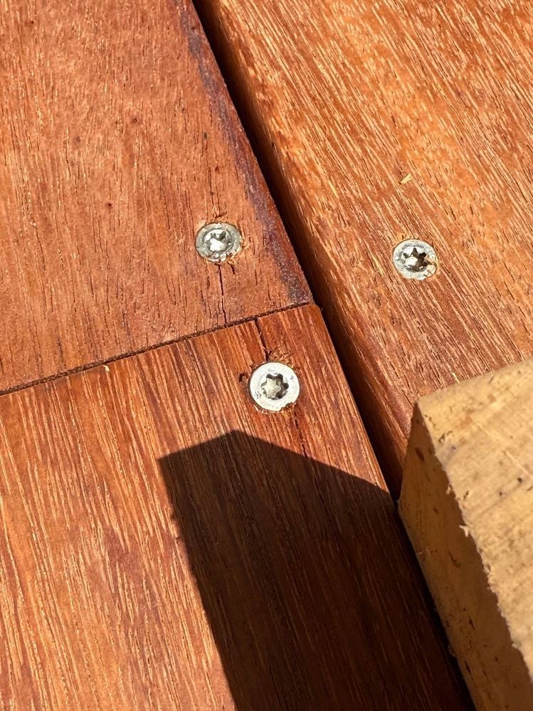 462584151_926991525694744_5747308257239032589_n.jpg 462584151_926991525694744_5747308257239032589_n.jpg