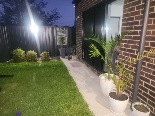 1000025379.jpg 1000025379.jpg